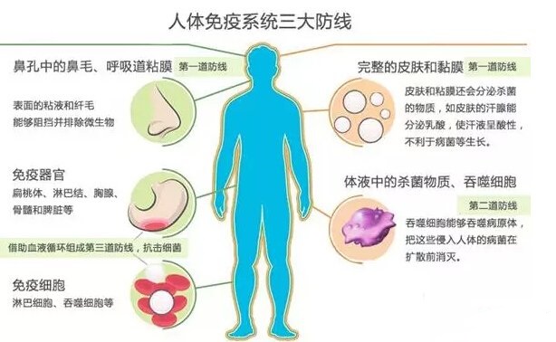 清华专家张明徽：癌症的“终结者”一定是免疫治疗