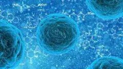 干细胞可有效抗衰老！